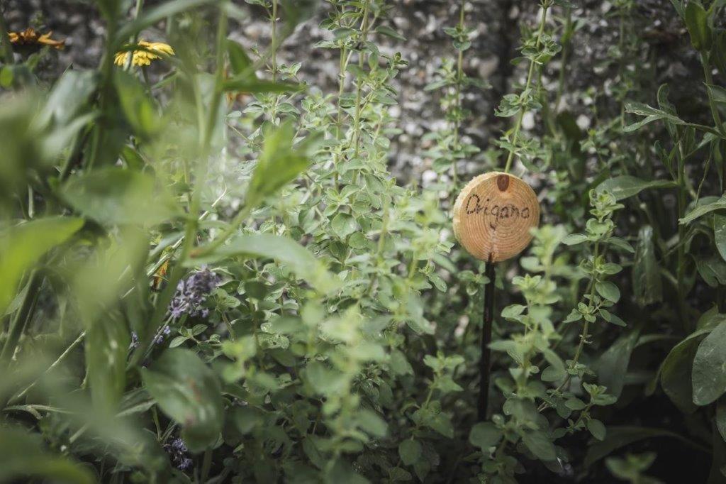 Ahrn Natur Apartment Lutago Kültér fotó